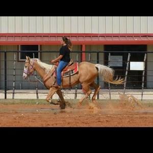 Meet your Posher, Katelyn